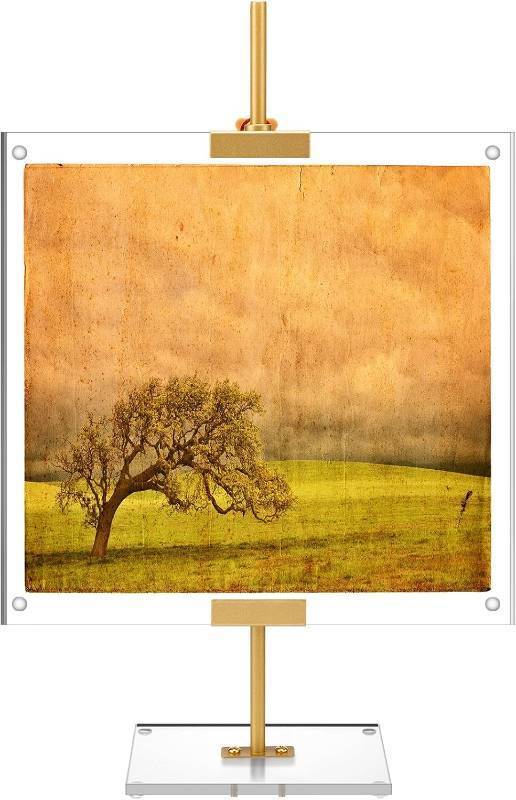 lot 78003 image: RattanView Adjustable Tabletop Easel Stand with Clear Acrylic Floating Photo Frame Set 16.5 Metal Picture Easel Display Stand for Picture, Art, Photos, Poster, Signs(Gold,Acrylic Base)
