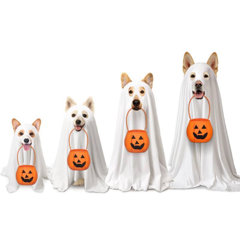 lot 10205 image: Huhumy 2 Pcs Halloween Dog Costumes with Non Woven Pumpkin Bags White Ghost Costume for Dog Cat Ghost Cosplay Clothes, Cute Party Cape for Halloween Cosplay Party (Giant)