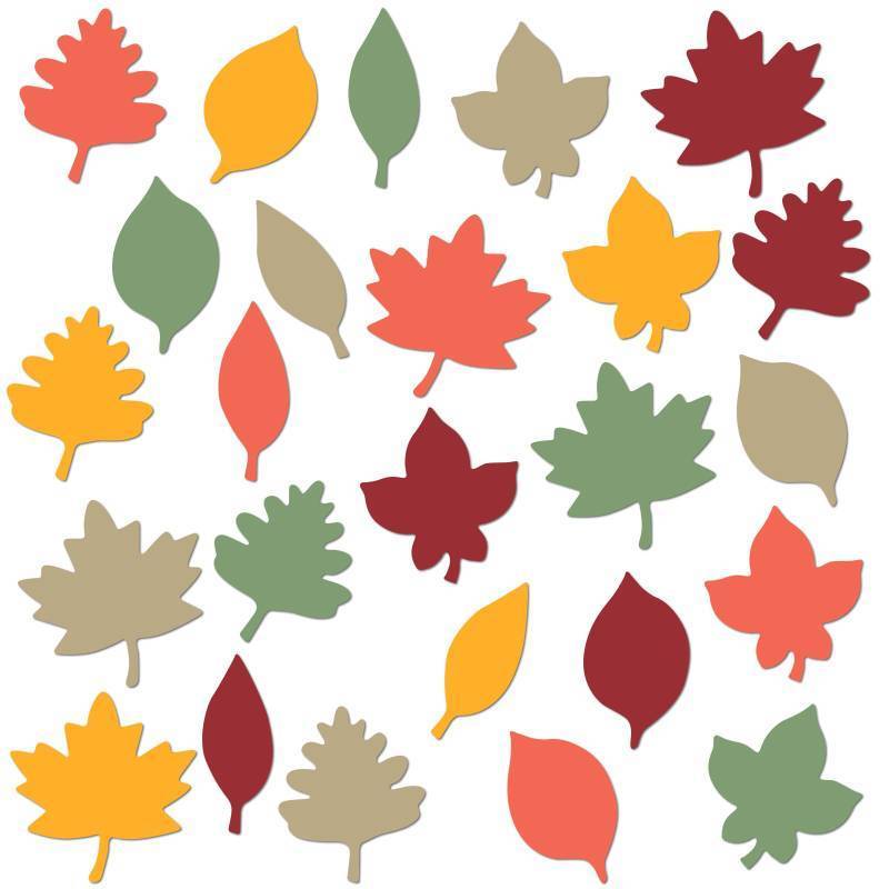 lot 10245 image: Hillban 250 Pcs Fall Leaf Paper Cutouts for Bulletin Boards, 2.4 in