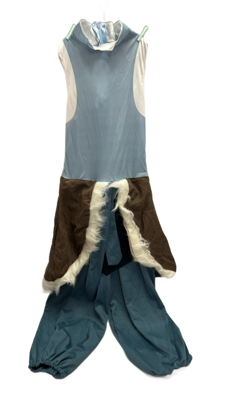 lot 10331 image: Legend of Korra  costume youth 4-6