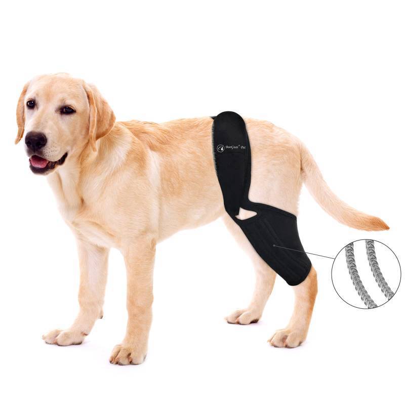 lot 60118 image: BaoGuai Knee Brace for BFWSY
