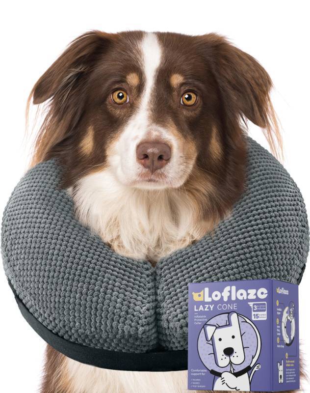lot 8561 image: Loflaze Soft Inflatable Dog Cone Collar Alternative After Surgery - Dog Neck Donut E Collar for Large Medium Small Dogs Cats Post Surgery - Recovery Collar to Stop Licking - Grey, XL - Retail $24