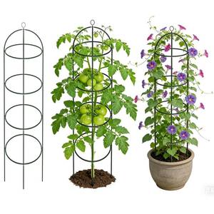 lot 2403 image: Garden Obelisk Trellis for Climbing Plants 5.74.5FT Heavy Duty Metal & Rustproof Plant Climbing Support for Garden Indoor Outdoor Potted Plant Flowers Fruits Vegetable Vines (4.5FT  2Pack) - Retail $38