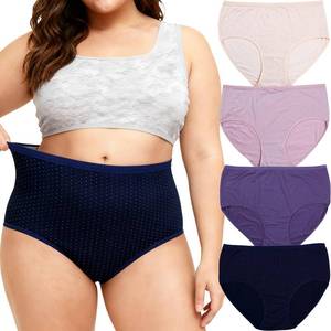 lot 2414 image: THREE PACK WhilyeePam Womens Plus Size Cotton Underwear Mid Waisted Briefs 3 Pack - Retail $4,500