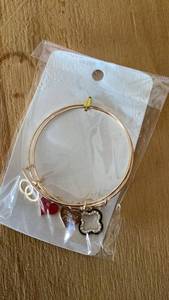 lot 343 image: Expandable Charm Bangle Bracelet with Charms