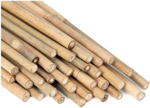 lot 59210 image: 18Inch Garden Stakes, Natural Bamboo Sticks Plant Stakes for Indoor and Outdoor Plants��Poles for Tomatoes, Beans, Potted Plants, 25 Pack. - Retail $9