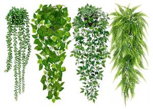 lot 59243 image: Artificial Hanging Plants for Shelf, 4 Pack Fake Potted Greenery Plant Faux Mandala Vine, String of Pearls, Ivy Vine,Persian Grass Fern. POT DAMAGE. - Retail $20