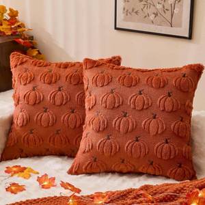 lot 2268 image: Fall Decorations Pillow Covers 18x18 Set of 2 Rust Thanksgiving Autumn Harvest Pumpkin Decorative Throw Pillow Cases Soft Plush Faux Fur Cushion Covers for Sofa Couch Bed Chair Living Room Fall Decor