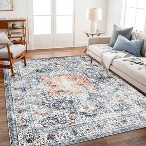 lot 4113 image: $71 CHAMPLANT 6x9 Washable Gray Area Rug - Vintage Traditional Indoor