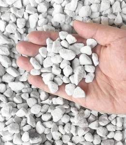lot 4131 image: 30 QT12.5lbs Professional Grade Horticultural Organic Perlite