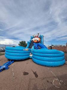 lot 7938 image: Polar Plunge Inflatable Dual Water Slide