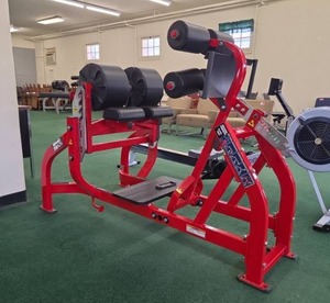lot 22075 image: Hammer Strength Glute Hamstring, and Ab Bench  Model BW-GH
