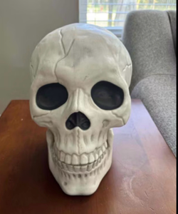 lot 44142 image: White Skull Head Decorative Figure