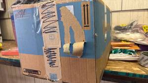 lot 44495 image: Mystery Halloween box #1