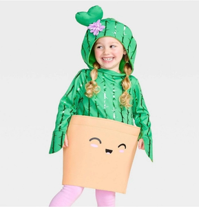 lot 44510 image: Size 2T3T Cactus Kids Costume with Pot Tunic Green Shirt Headpiece