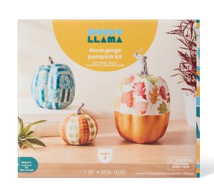 lot 44225 image: 2pc set-Mondo Llama Decoupage Pumpkin Kit and Ceramic Jar Painting Kit Bundle