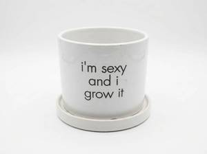 lot 64076 image: Bohemian Oasis Ceramic Planter 6.8in Dia White