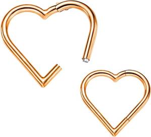 lot 351984 image: VOJO 2 Pcs G23 Titanium Heart Daith Piercing Jewelry Rook Tragus Clicker Ring Cartilage Earrings 16G