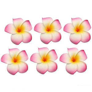 lot 361729 image: 12PCS Women Girls 2.36 Hawaiian Hawaii Bohemia Style Plumeria Foam Flower Hair Clips Decoration Hair Barrette Hairpin For Bridal Wedding Party Beach Holiday (Pink)
