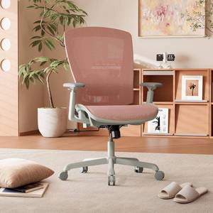 lot 111738 image: Retails for $240 ELABEST Mesh Office Chair,Ergonomic Computer Desk Chair,Sturdy Task Chair- Adjustable Lumbar Support & Armrests,Tilt Function,Comfort Wide Seat,Swivel Home Office Chair (Pink)