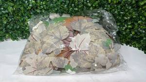 lot 150 image: Assorted Decorative Leaf Shaped Cutouts Mixed Colors - Retail $0