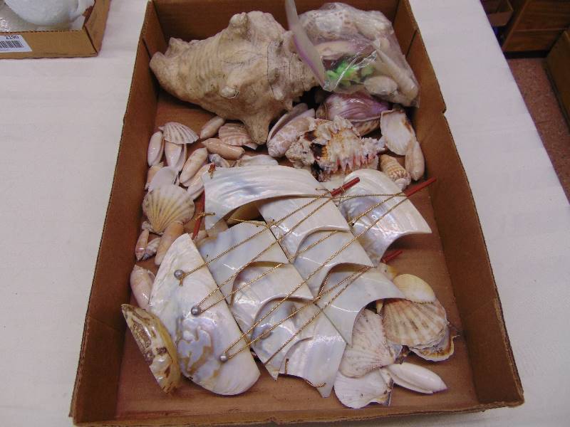 lot 2191 image: Sea Shell Lot