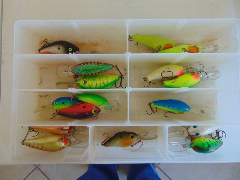 lot 2364 image: Fishing Lures in Plastic Case