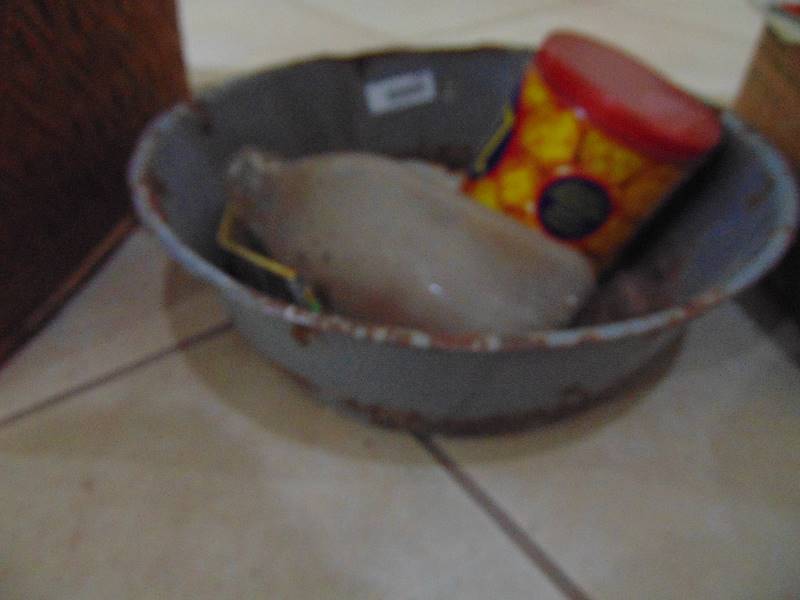 lot 2434 image: Granite Pan, etc.