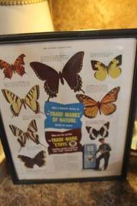 lot 4722 image: Vtg. Trade-Marks of Nature Picture 12 x 15