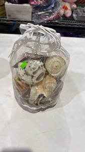 lot 39 image: Mixed Seashells and Clams Collection Bag