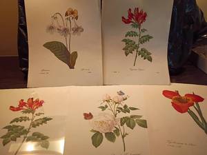 lot 1041 image: Various Non Framed Wall Decor.