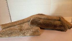 lot 1306 image: Two bathroom rugs and a door draft stopper