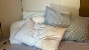 lot 1317 image: Various size pillows