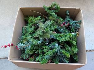 lot 2043 image: Mixed Evergreen Branches and Foliage Lot