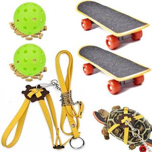 lot 10603 image: Lengnuantazhi Turtle Skateboard Toy Set with Leash