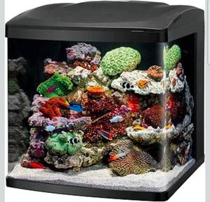 lot 96 image: Coralife BioCube, Aquarium Kit, Integrated 24-hour Timer, Customizable LED Lighting, for Saltwater and Freshwater Environments, 32 Gallon Powers On  - Retail $489