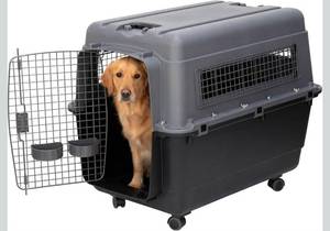 lot 114 image: SportPet Airline Compliant X-LARGE 35.5 Travel Dog Kennel-Durable Plastic Airline Pet Carrier wRemovable Wheels & Food Bowls, Collapsible IndoorOutdoor Dog Kennel, Dogs up to 32L & 23H-Dark Gray - Retail $202