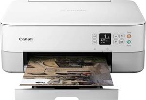 lot 2206 image: $110 Canon PIXMA TS5320 All-in-One Wireless Printer, Scanner with AirPrint
