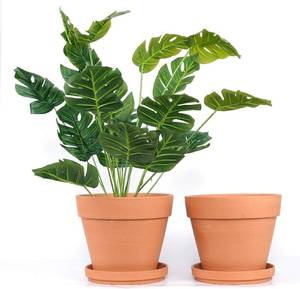 lot 2208 image: Yishang 9in Clay Pot with Saucer, 2-Pack Terra Cotta Plant Pot Drainage Hol