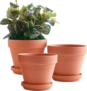 lot 2209 image: Yishang 8-Inch Clay Pot with Saucer, 3-Pack Drainage Hole