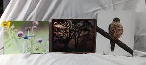 lot 34857 image: Set of 3 still life photos