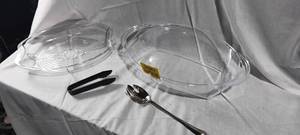 lot 34883 image: Ice-chilled serving platter set, used to keep food cold, serving spoon and tongs