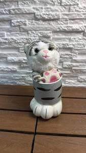 lot 38 image: Plush Cat in Paw-Shaped Mug