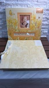 lot 96 image: Lot of 2 12x12 Albums