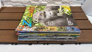 lot 180 image: Lot of 17 Youth Magazines