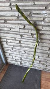 lot 233 image: Traditional 48 Longbow (Green Marbled Finish) with Bowstring