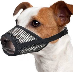 lot 10745 image: Mayerzon Dog Muzzle, Soft Mesh Muzzles for Small Dogs Biting  Black, S