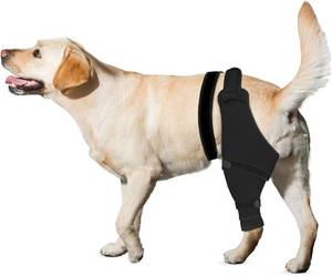 lot 10873 image: Dog Rear Leg Sleeve for TPLOACL Recovery, Hind Leg, Soft Breathable