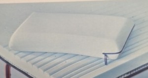 lot 10835 image: Sealy PosturePedic Expert Support Pillow