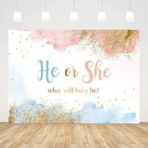 lot 271617 image: AIBIIN 7x5ft Gender Reveal Backdrop Banner Decorations for Boy and Girl